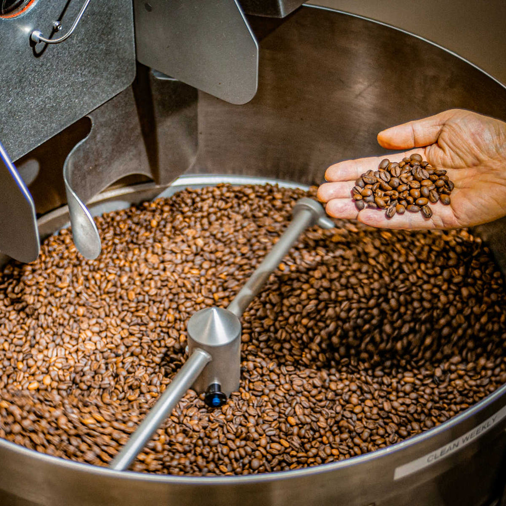 Enzyme Fermented Coffee 7oz (200g)