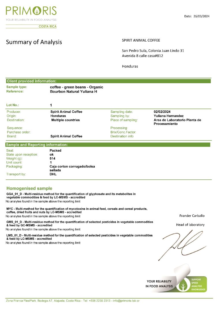 Yellow Catuai & Parainema