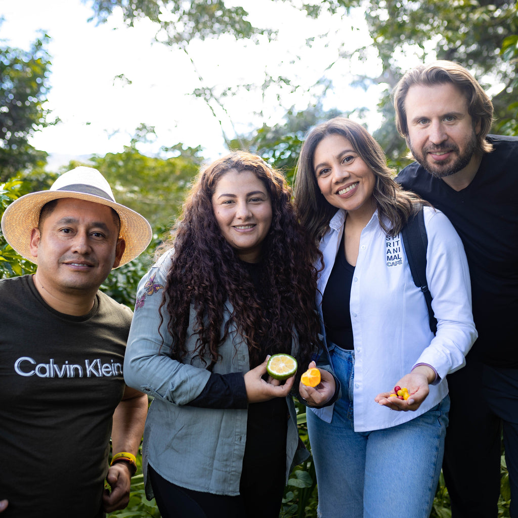 Honduran Bourbon Coffee 1.8oz (50g) Sample bag