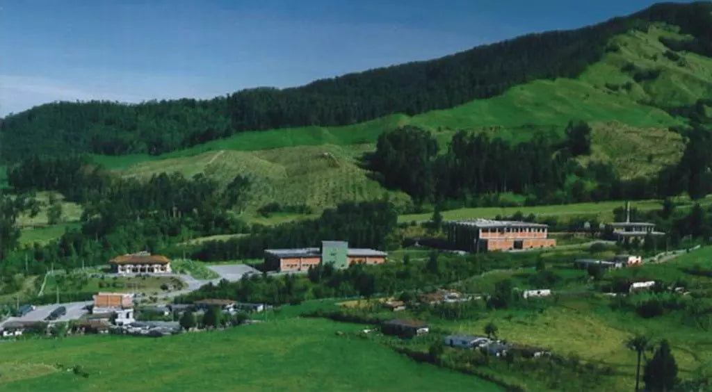 Colombia | Aromas Del Sur | Decaf