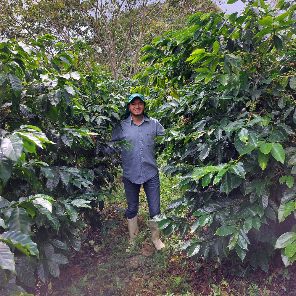 Honduran Espresso Blend Coffee 1.8oz (50g) Sample bag