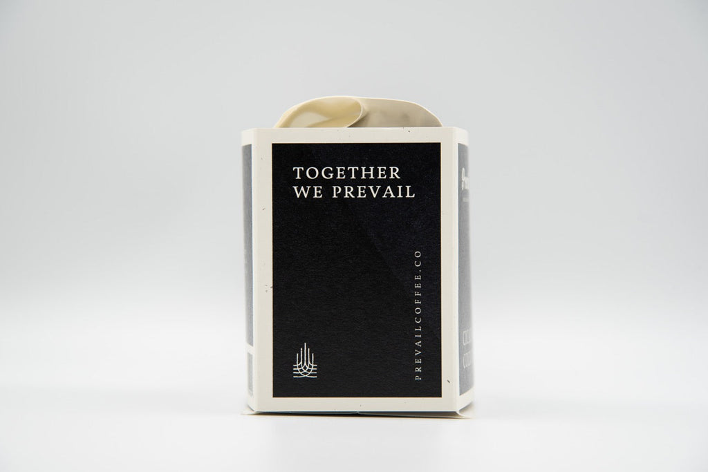 Cicada Cold Brew Blend