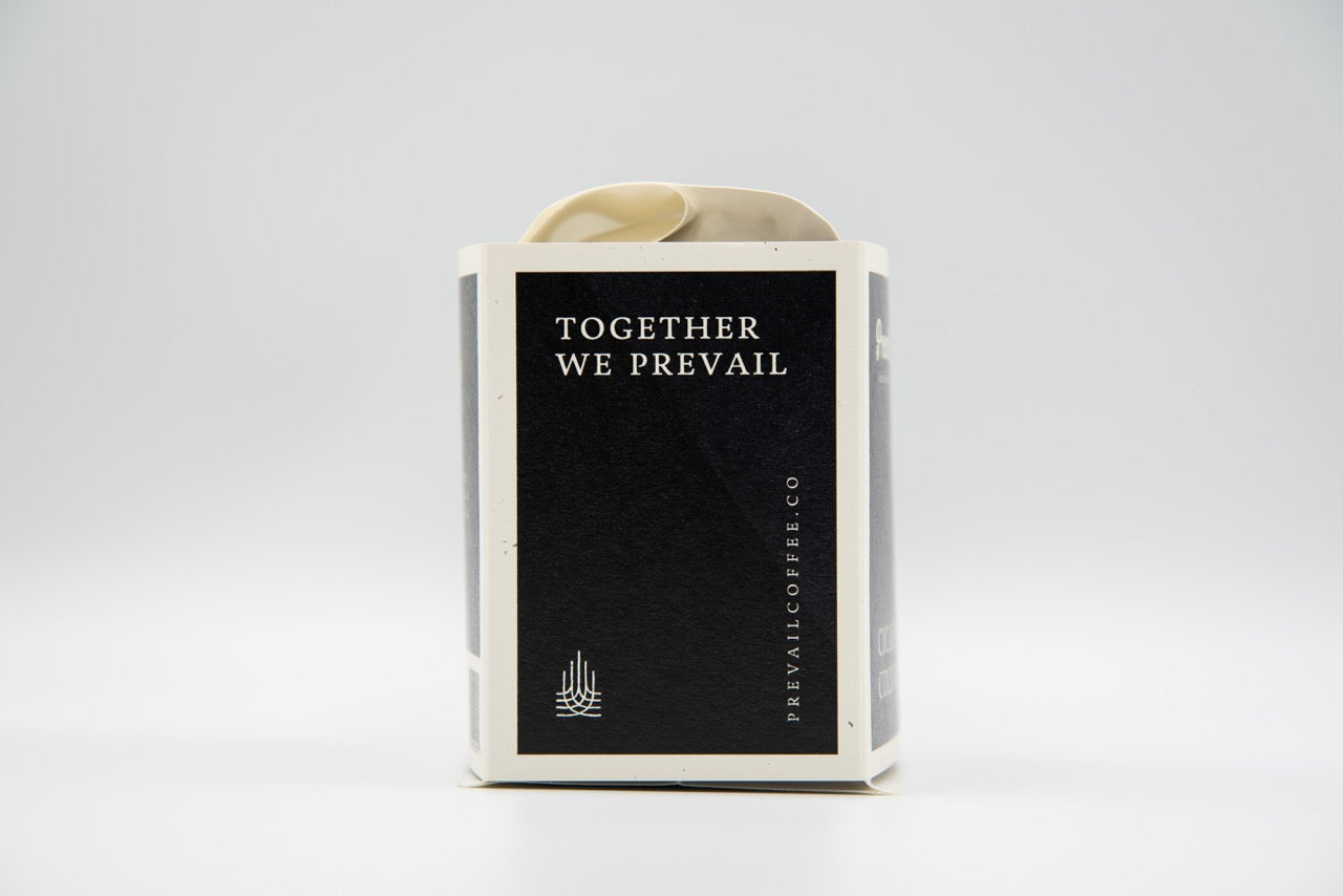 Cicada Cold Brew Blend