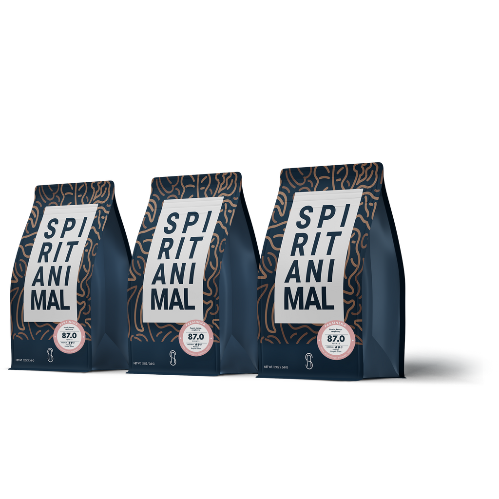 Honduran Parainema Coffee - 3-Pack - 2lb