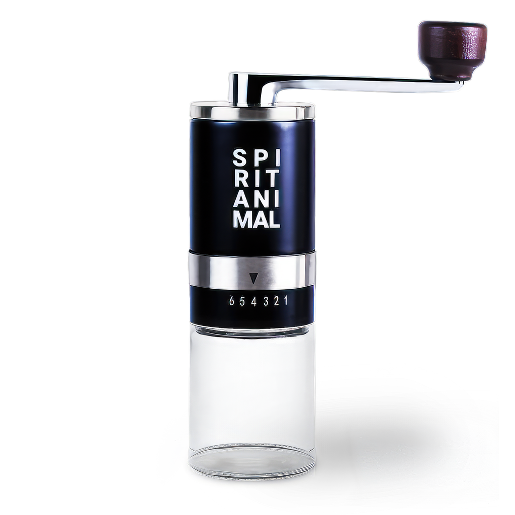 Manual Burr Coffee Grinder